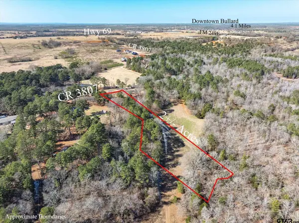 TBD Cr 3807, Bullard, TX 75757