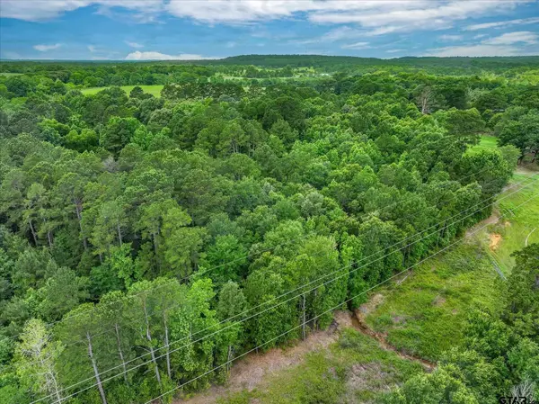 TBD CR 2177, Troup, TX 75789