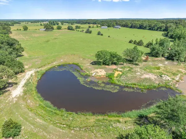 TBD Cr 4509, Ben Wheeler, TX 75754