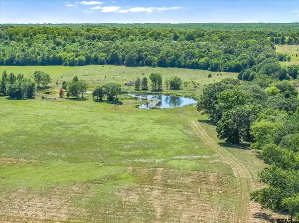 TBD Cr 4509, Ben Wheeler, TX 75754