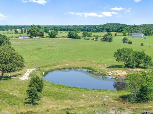 TBD Cr 4509, Ben Wheeler, TX 75754
