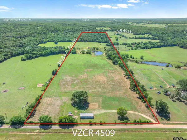 TBD Cr 4509, Ben Wheeler, TX 75754