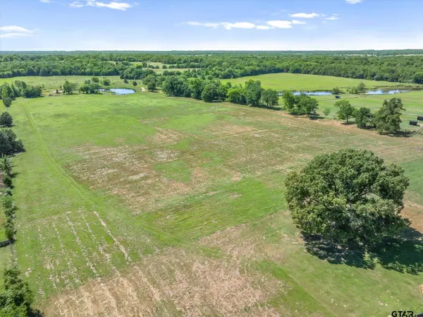 TBD Cr 4509, Ben Wheeler, TX 75754