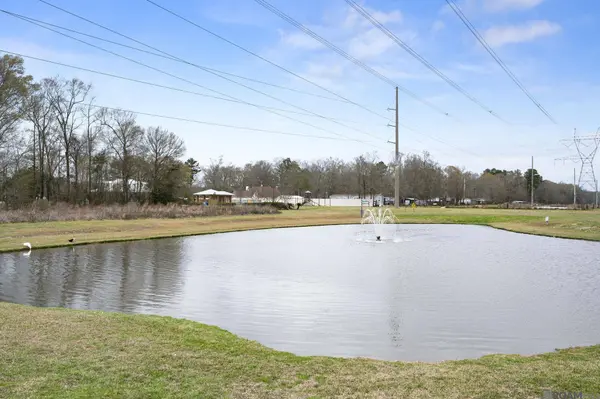 11371 Rossow Ct, Denham Springs, LA 70726