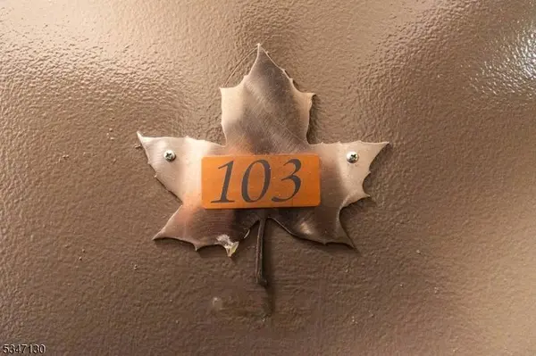 2 Chamonix Dr #103, Vernon Twp., NJ 07462