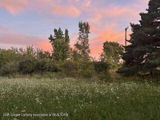 4383 W Cutler RD, Dewitt, MI 48820