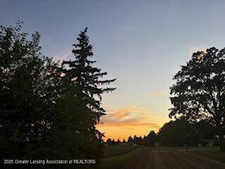 4383 W Cutler RD, Dewitt, MI 48820