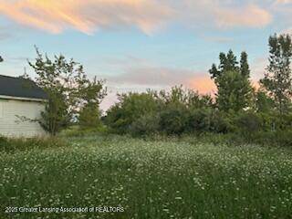 4383 W Cutler RD, Dewitt, MI 48820