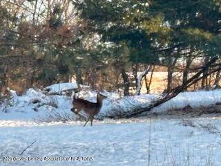 5434 Green RD, St. Johns, MI 48879