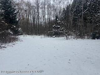 8652 E Colby RD, Crystal, MI 48818