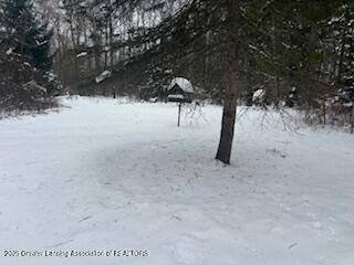 8652 E Colby RD, Crystal, MI 48818