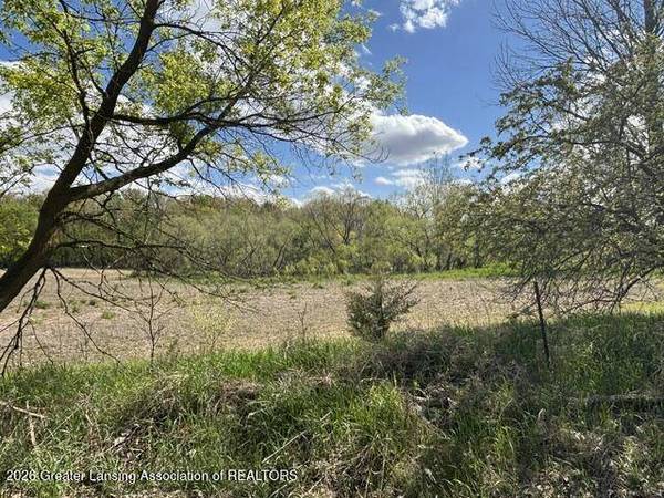 0 W Jason RD, Dewitt, MI 48820