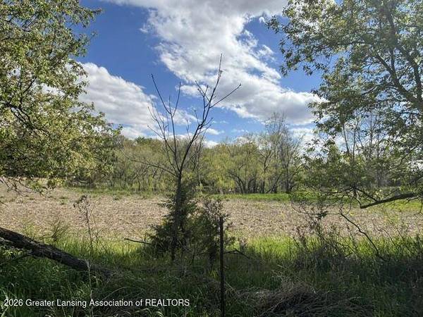 0 W Jason RD, Dewitt, MI 48820