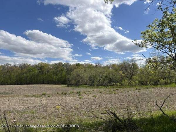 0 W Jason RD, Dewitt, MI 48820
