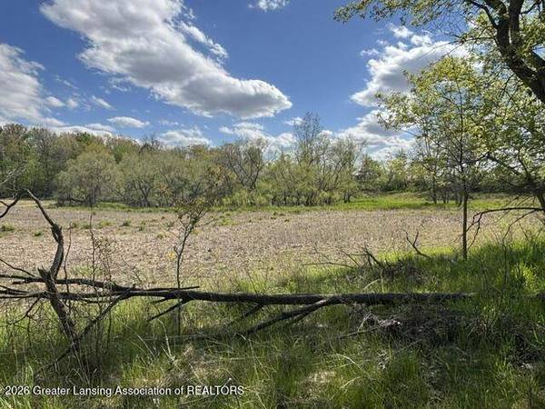 0 W Jason RD, Dewitt, MI 48820