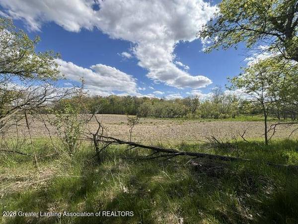 0 W Jason RD, Dewitt, MI 48820