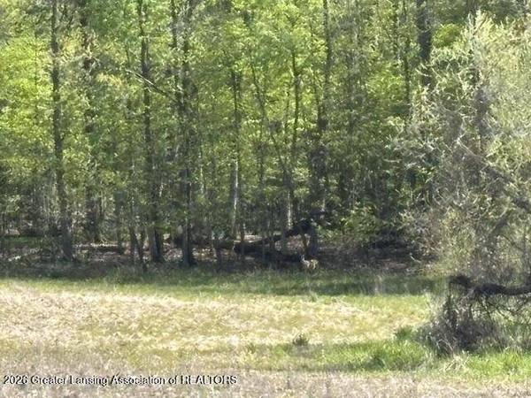 0 W Jason RD, Dewitt, MI 48820