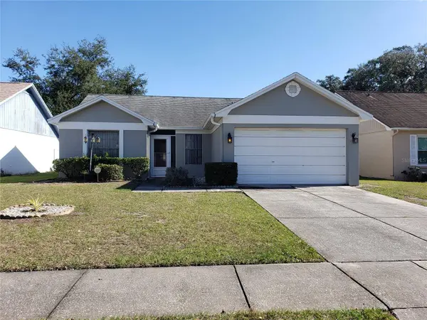 2020 RUDDER DR, Valrico, FL 33594