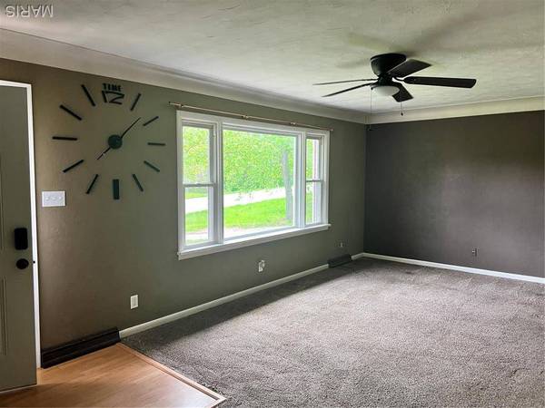 5007 Seiler RD, Dorsey, IL 62021