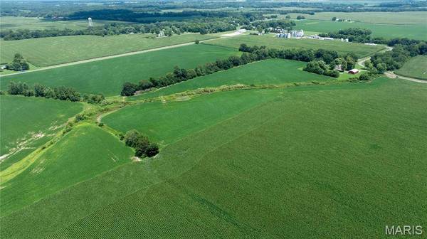 XXX Elevator Road, Walshville, IL 62091