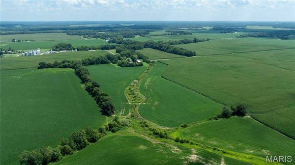 XXX Elevator Road, Walshville, IL 62091