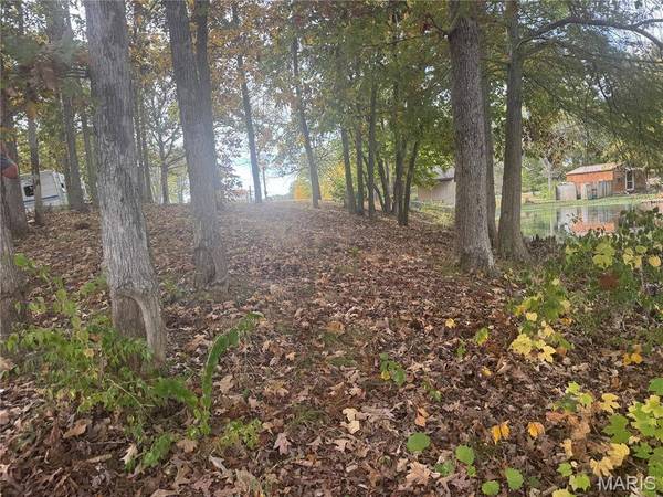 0 Flint Ct. Lake Ka-Ho, Mount Olive, IL 62069