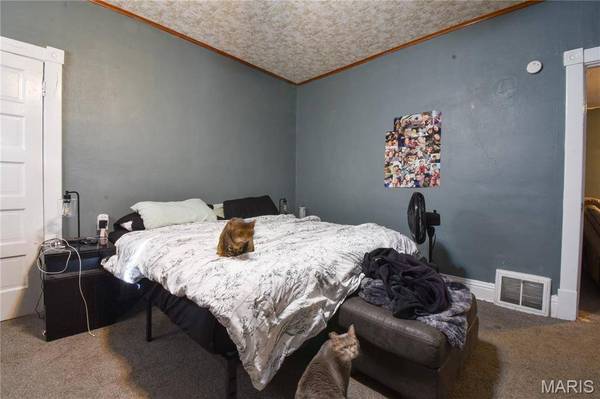 619 E Main ST, Staunton, IL 62088