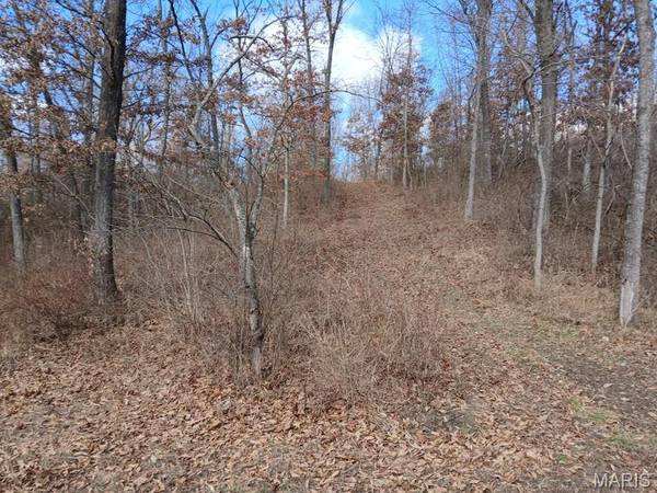 # Windy Hill RD, Staunton, IL 62088