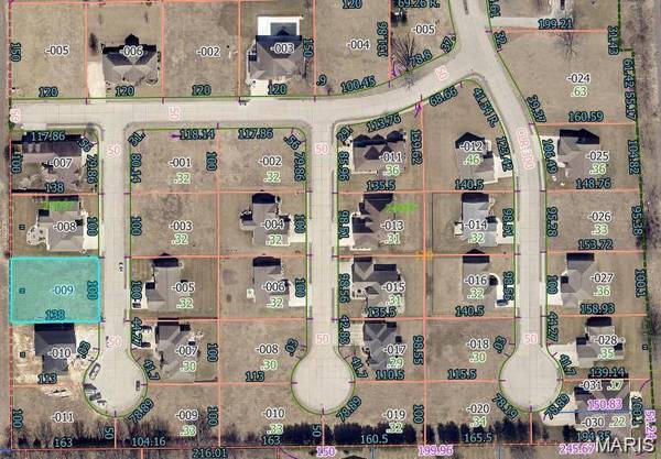365 Golden Eye Ct, Staunton, IL 62088