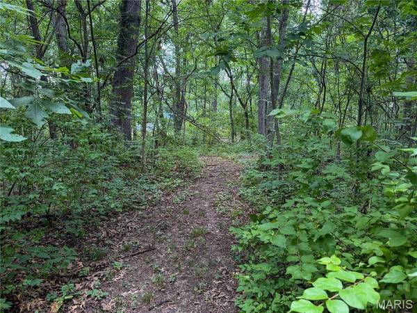 0 S Panther Creek RD, Mount Olive, IL 62069