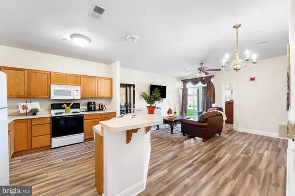 1000 FOUNTAINVIEW CIR #1113, Newark, DE 19713