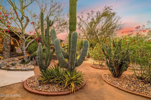 6600 N Dimitri Lane, Tucson, AZ 85743