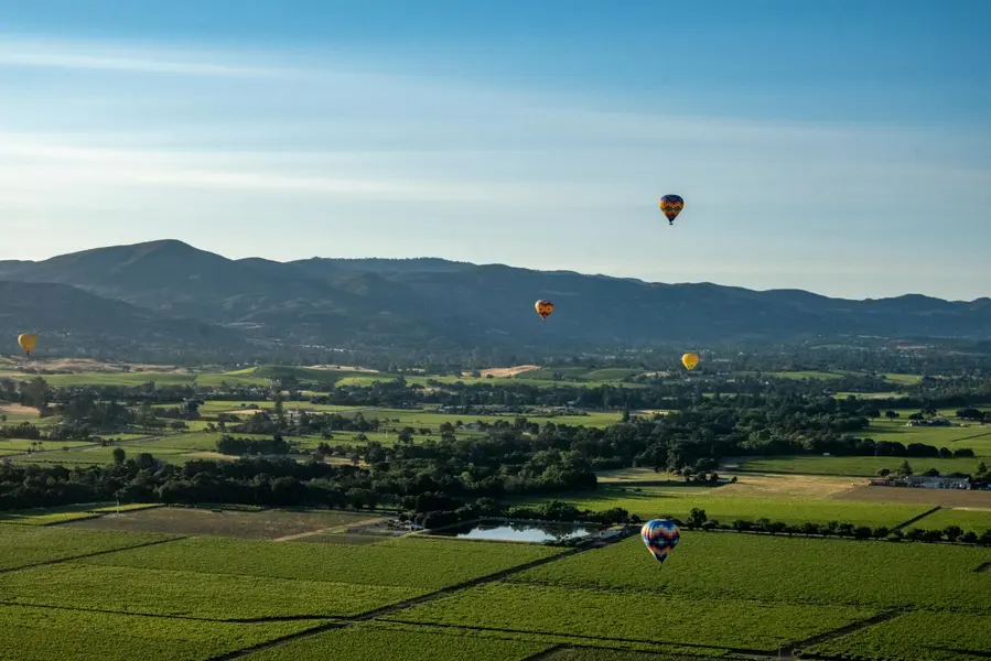 Napa