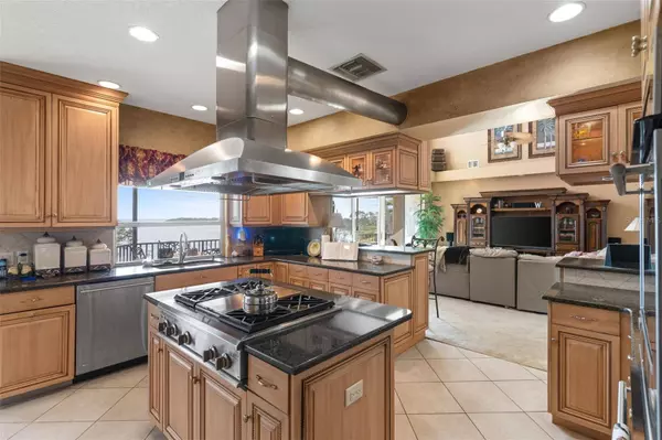 2077 N POINTE ALEXIS DR, Tarpon Springs, FL 34689