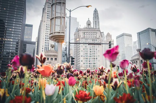 Chicago Real Estate Market Update — April 2026