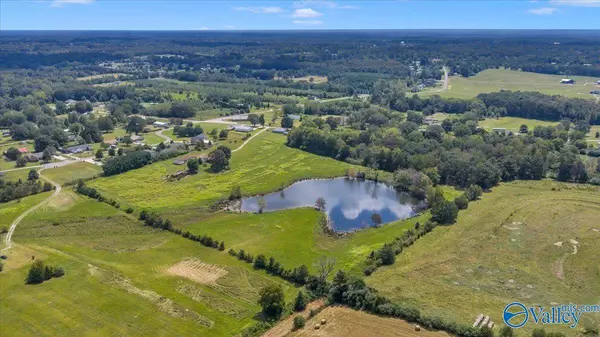 7735 County Road 170, Trinity, AL 35673