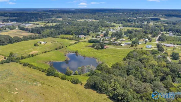 7735 County Road 170, Trinity, AL 35673