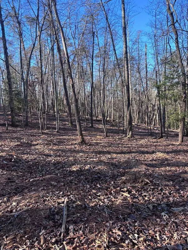 Lot 74 Bice Lane, Blue Ridge, GA 30513
