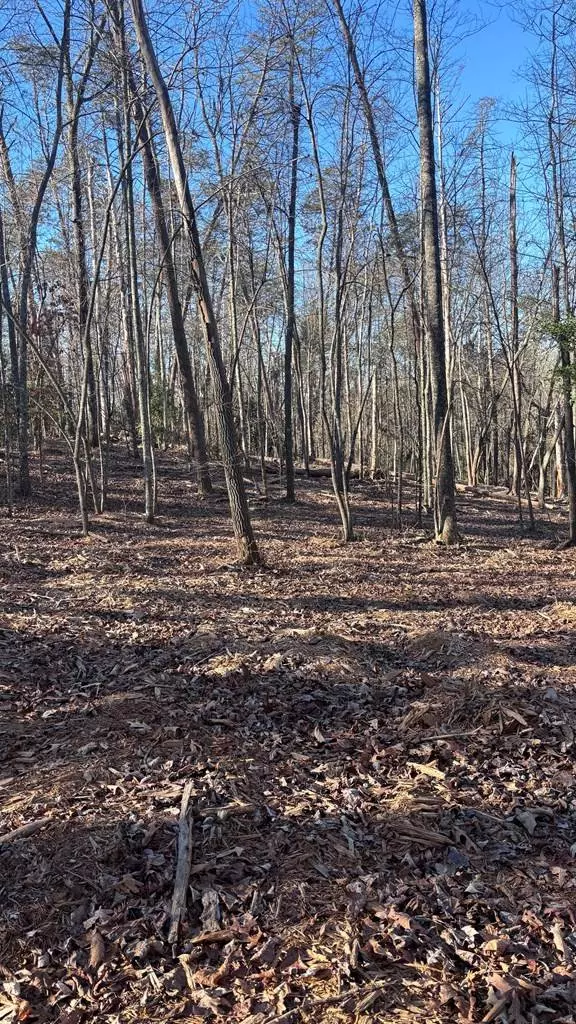 Lot 74 Bice Lane, Blue Ridge, GA 30513
