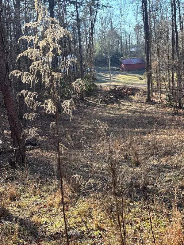 Lot 73 Bice Lane, Blue Ridge, GA 30513