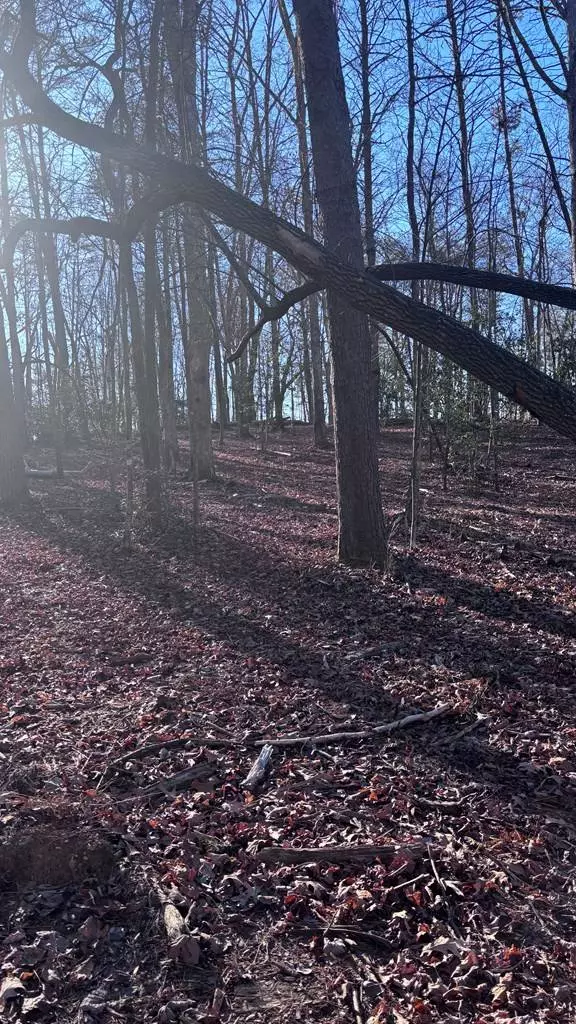 Lot 74 Bice Lane, Blue Ridge, GA 30513