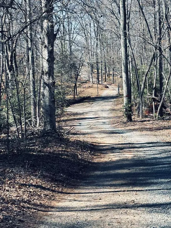 Lot 74 Bice Lane, Blue Ridge, GA 30513