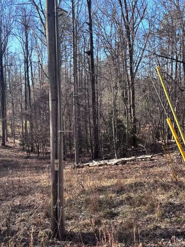 Lot 73 Bice Lane, Blue Ridge, GA 30513