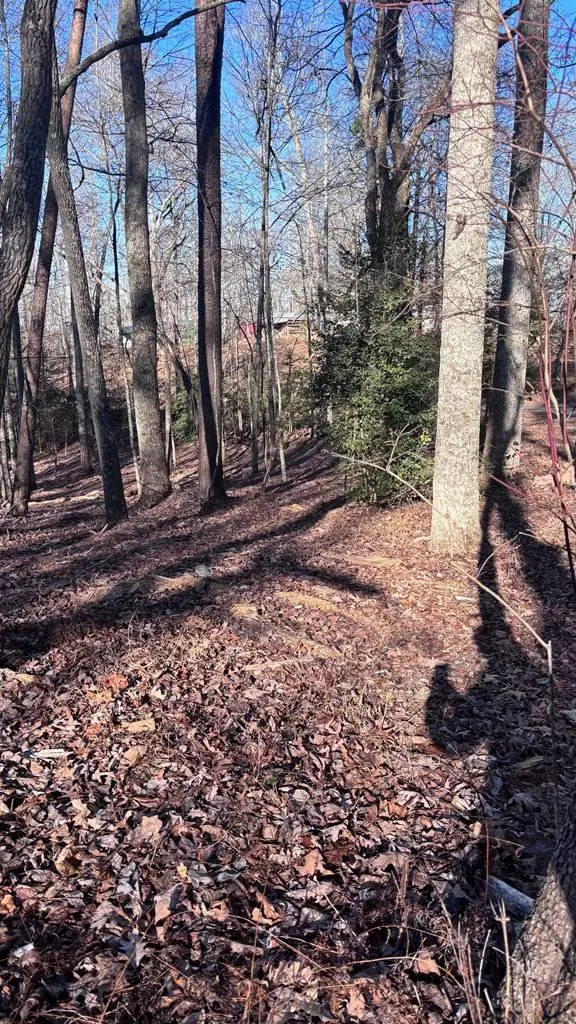 Lot 74 Bice Lane, Blue Ridge, GA 30513