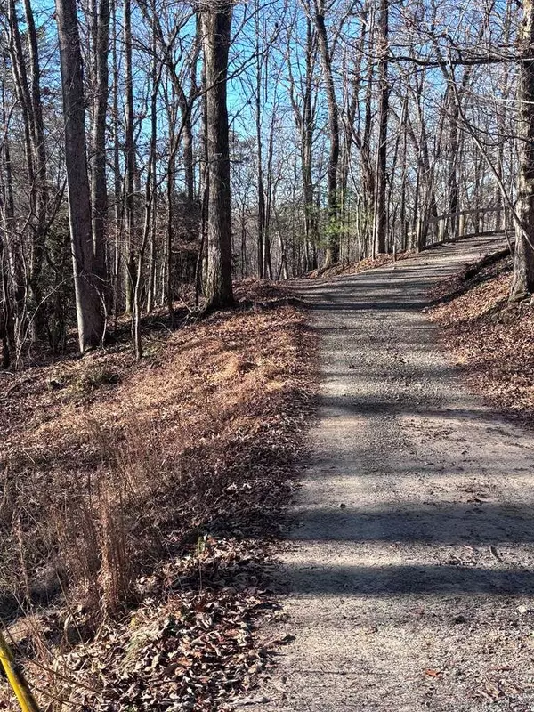 Lot 73 Bice Lane, Blue Ridge, GA 30513