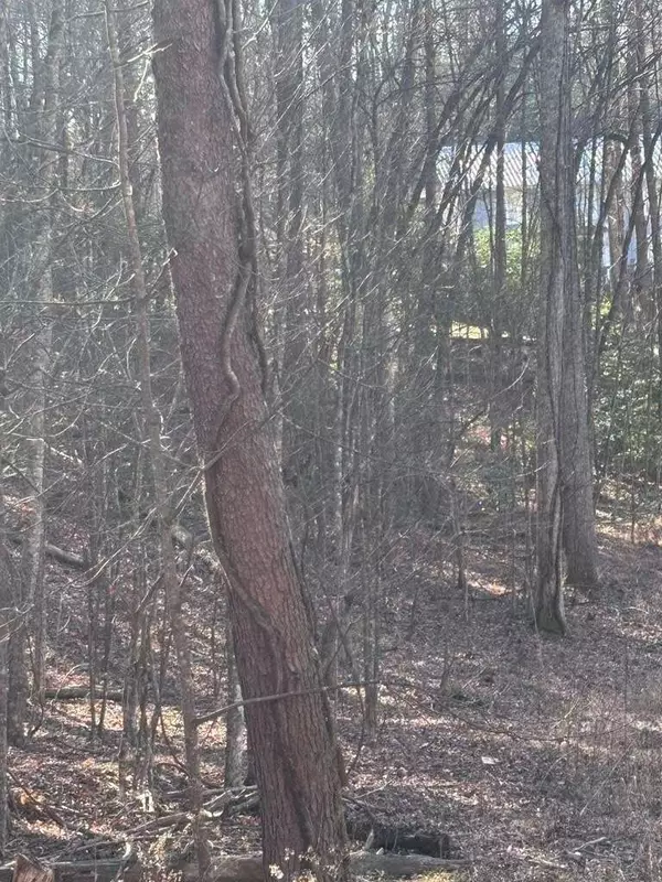 Lot 73 Bice Lane, Blue Ridge, GA 30513