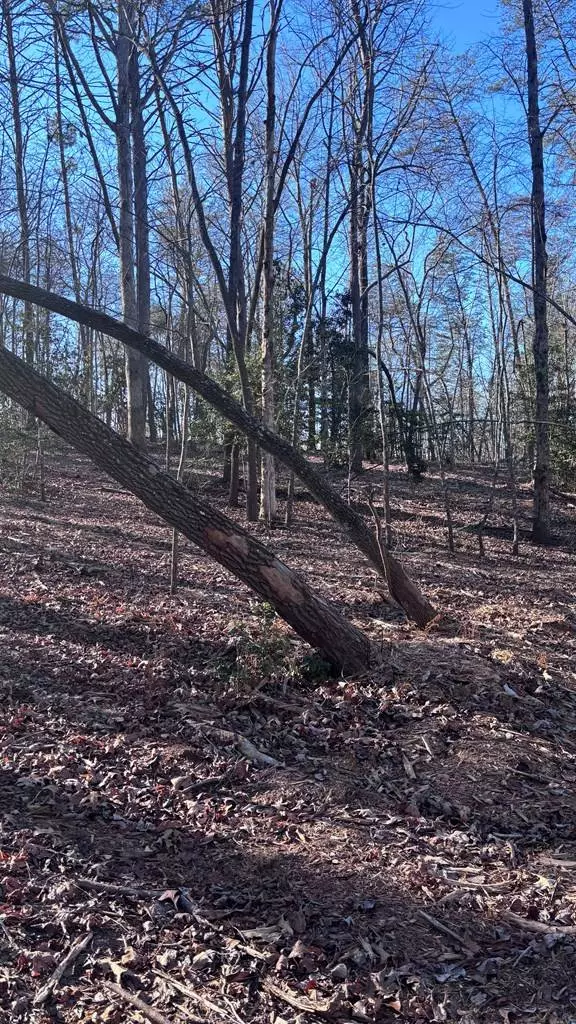 Lot 74 Bice Lane, Blue Ridge, GA 30513