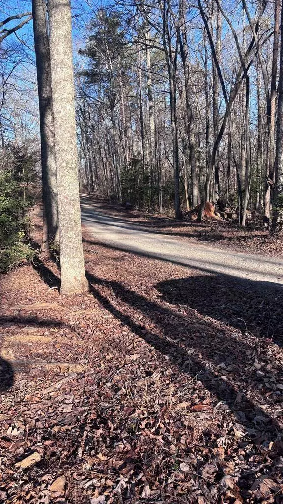 Lot 74 Bice Lane, Blue Ridge, GA 30513