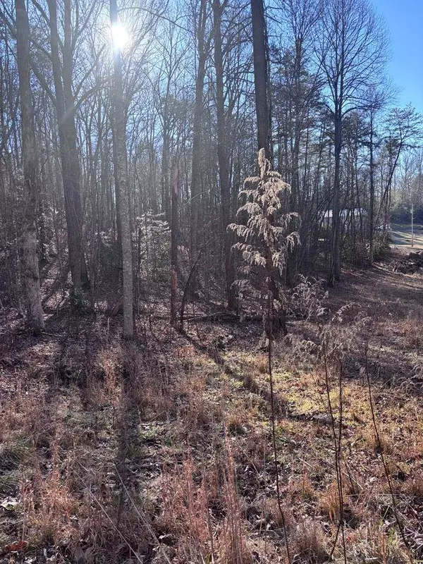 Lot 73 Bice Lane, Blue Ridge, GA 30513