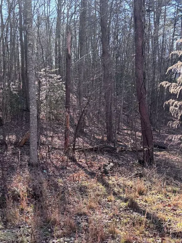 Lot 73 Bice Lane, Blue Ridge, GA 30513